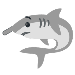 shark and lying face