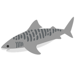 shark and tiger face