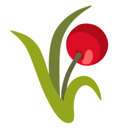 sheaf of rice and cherries