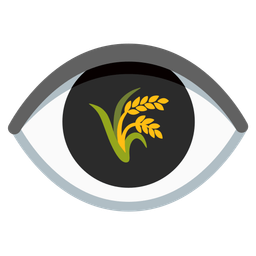 sheaf of rice and eye