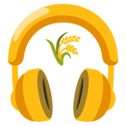 sheaf of rice and headphone