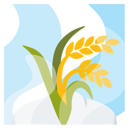 sheaf of rice and hot springs