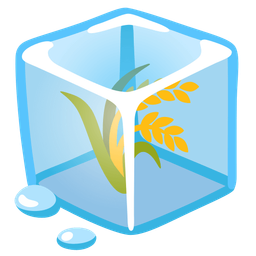 sheaf of rice and ice