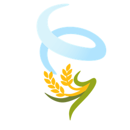 sheaf of rice and leaf fluttering in wind