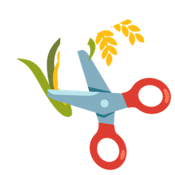 sheaf of rice and scissors