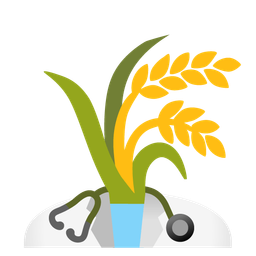 sheaf of rice and stethoscope