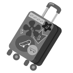 skateboard and luggage