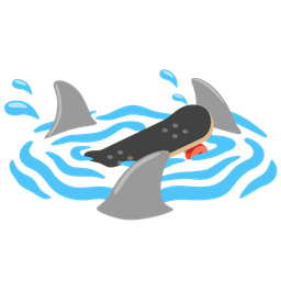 skateboard and shark
