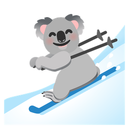 skis and koala