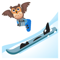 skis and owl