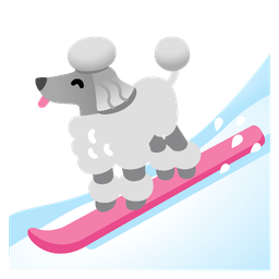 skis and poodle