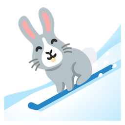 skis and rabbit face