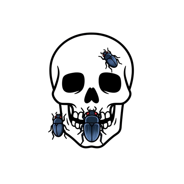 Skull and Beetle