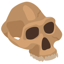 skull and rock