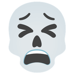 skull and tired face