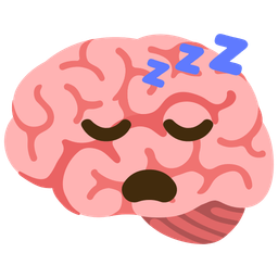 sleeping face and brain