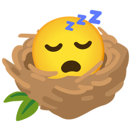 sleeping face and empty nest