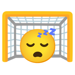 sleeping face and goal net