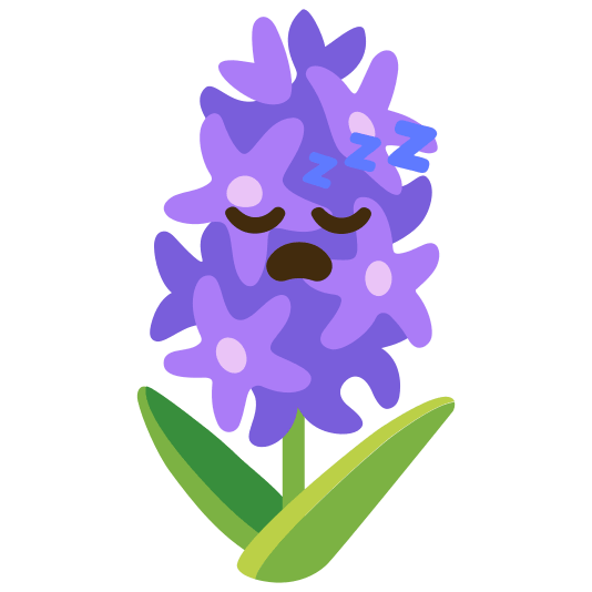 Sleeping face and Hyacinth