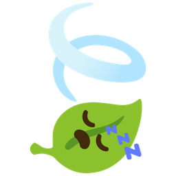 sleeping face and leaf fluttering in wind