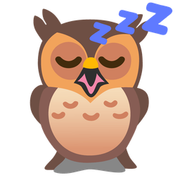 sleeping face and owl