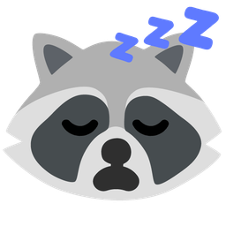 sleeping face and raccoon