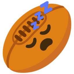 sleeping face and rugby football