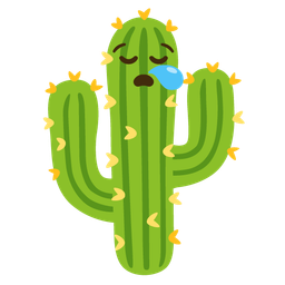 sleepy face and cactus