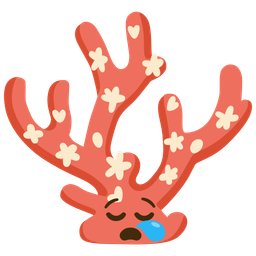 sleepy face and coral