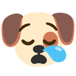 sleepy face and dog face