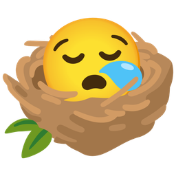 sleepy face and empty nest