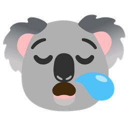 sleepy face and koala