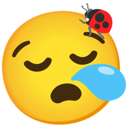 sleepy face and lady beetle