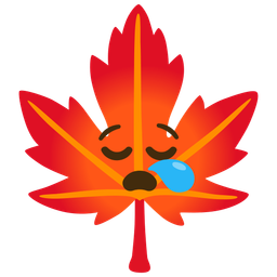 sleepy face and maple leaf