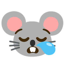 sleepy face and mouse face