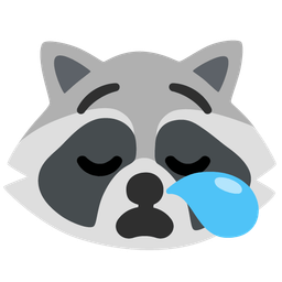 sleepy face and raccoon