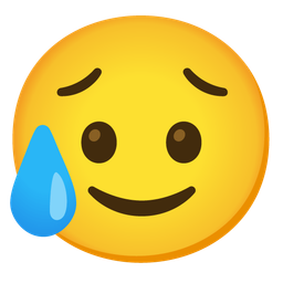 slightly smiling face and sad but relieved face