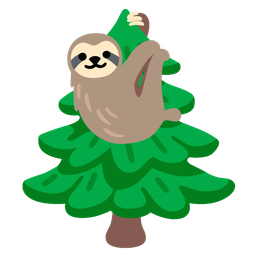 sloth and evergreen tree