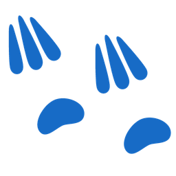 sloth and footprints