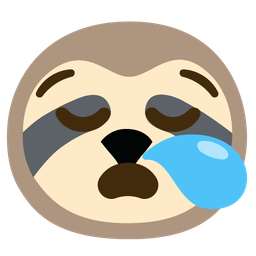 sloth and sleepy face