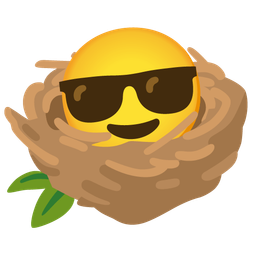 Smiling face with sunglasses and Empty nest