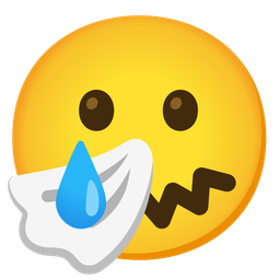 smiling face with tear and sneezing face