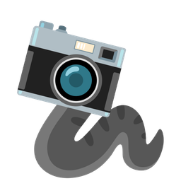 snake and camera