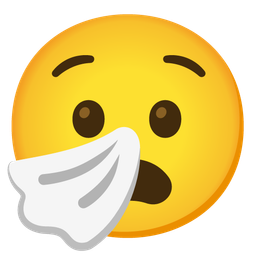 sneezing face and anguished face