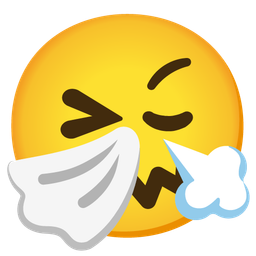sneezing face and face with steam from nose