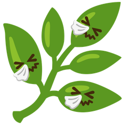 sneezing face and herb