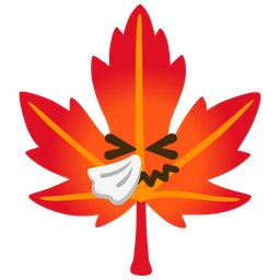 sneezing face and maple leaf