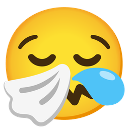 sneezing face and sleepy face