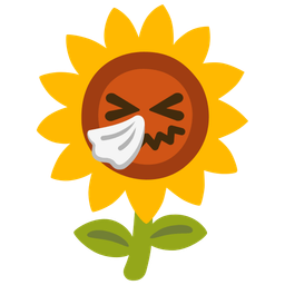 sneezing face and sunflower