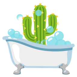 Soap and Cactus